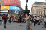 piccircuswm