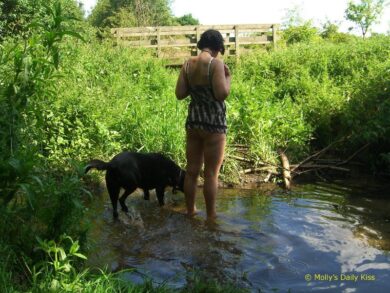 molly in stream with black dog