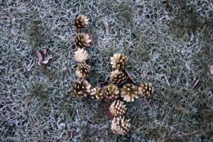 On The 4th Day of Kinkmas