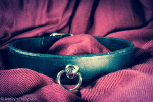 Black D ring leather collar