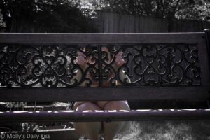 The Watcher