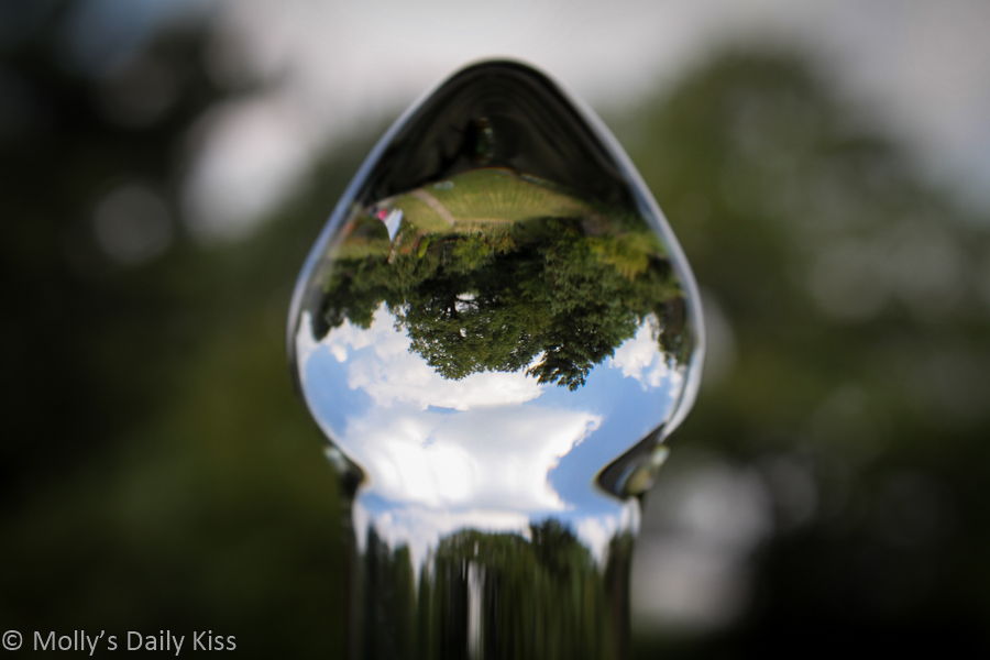 reflected world inverted in glass dildo