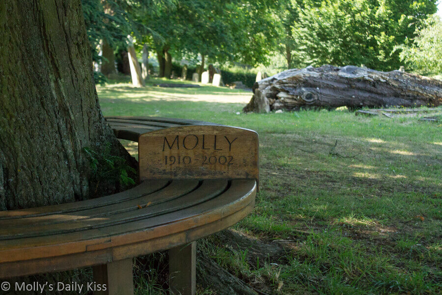 Molly bench in chruch yard