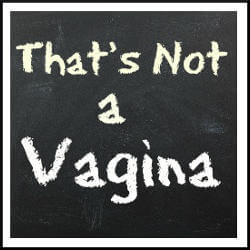 That’s Not a Vagina – Guest Post