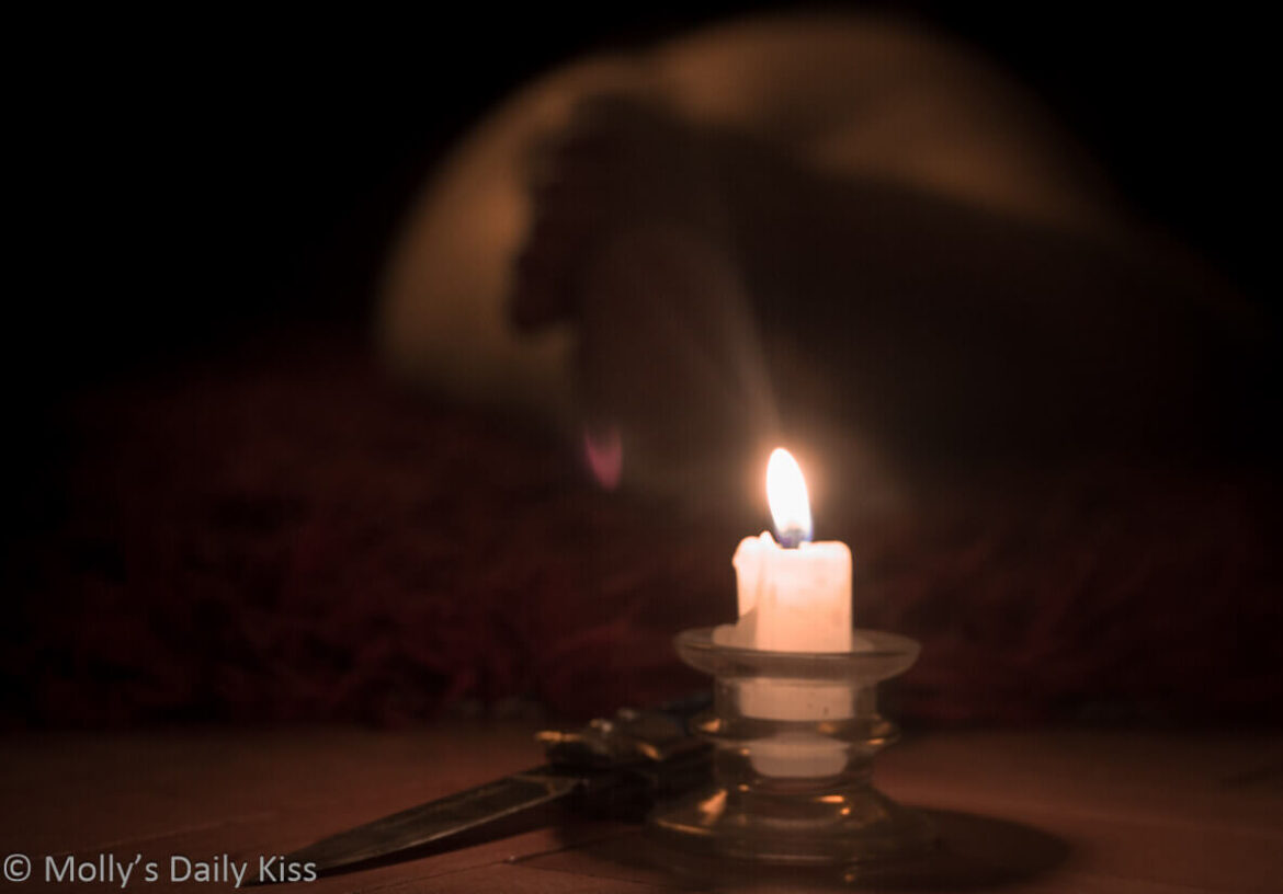 candleknife candle and knife on ground with molly laying naked in the background