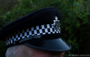 To Protect and Serve