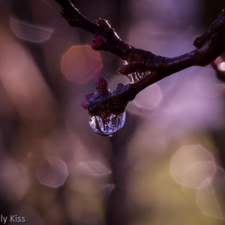 Impact and intentions – My thoughts.