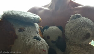 Molly and the Three Teddy Bears