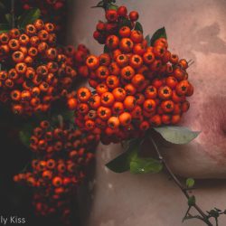 Coral Beads