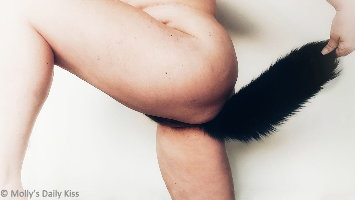 Molly with leg up pulling her black fluffy animal quality tail out behind her