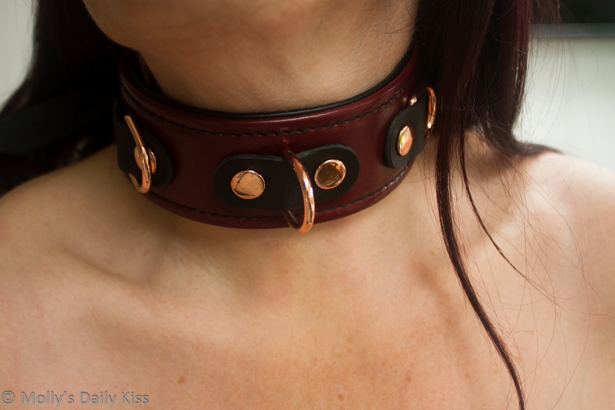 Close up of the Liebe Seele Leather Collar round molly's neck