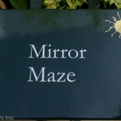 Maze Runner