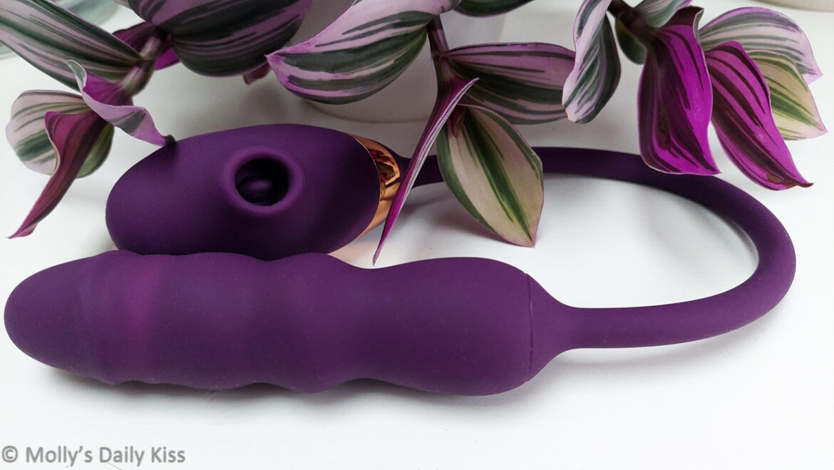 Sucking & Thrusting Vibrator Dildo Plug by purple leafed plant