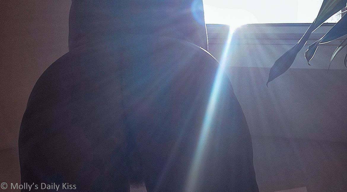 Cropped image Image taken from on the floor behind Molly. She is naked and we are looking up her back and legs. Above her is a skylight and she is reaching up into it. A burst of sunlight is creating a star burst down her back for post called Oh sun