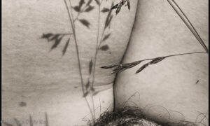 Splendour in the grass
