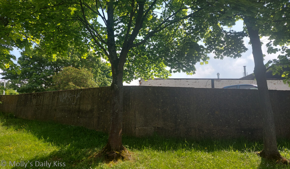 Large concrete wall with industrial building behind. In front is a green grassy bank and tree with green leaves and green grass.