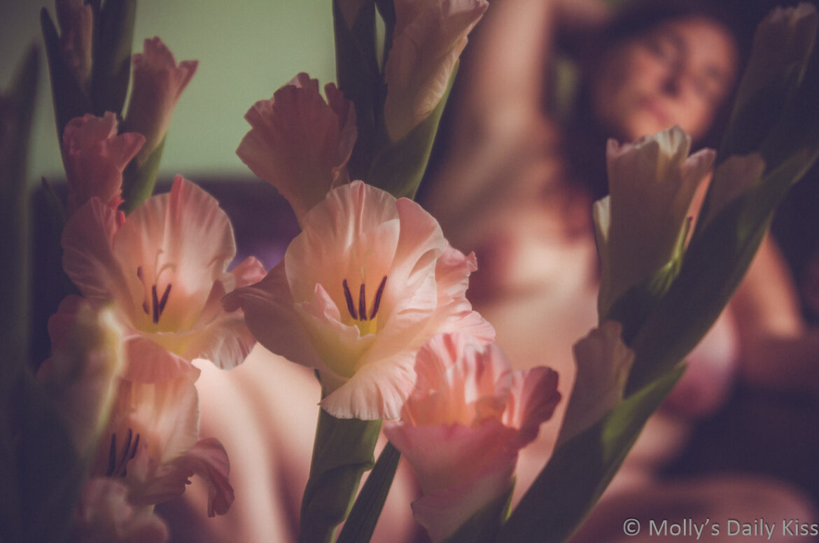 Gladioliseat-3 Blush pink gladioli in the foreground and in focus. In the back background and in soft focus is Molly reclining on the sofa topless
