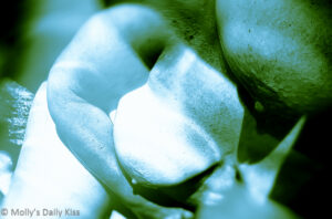Possession